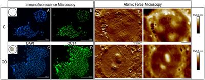 Nanomaterials Upscaling Cell Production and Advancing Exosome-Based Stem Cell Therapies